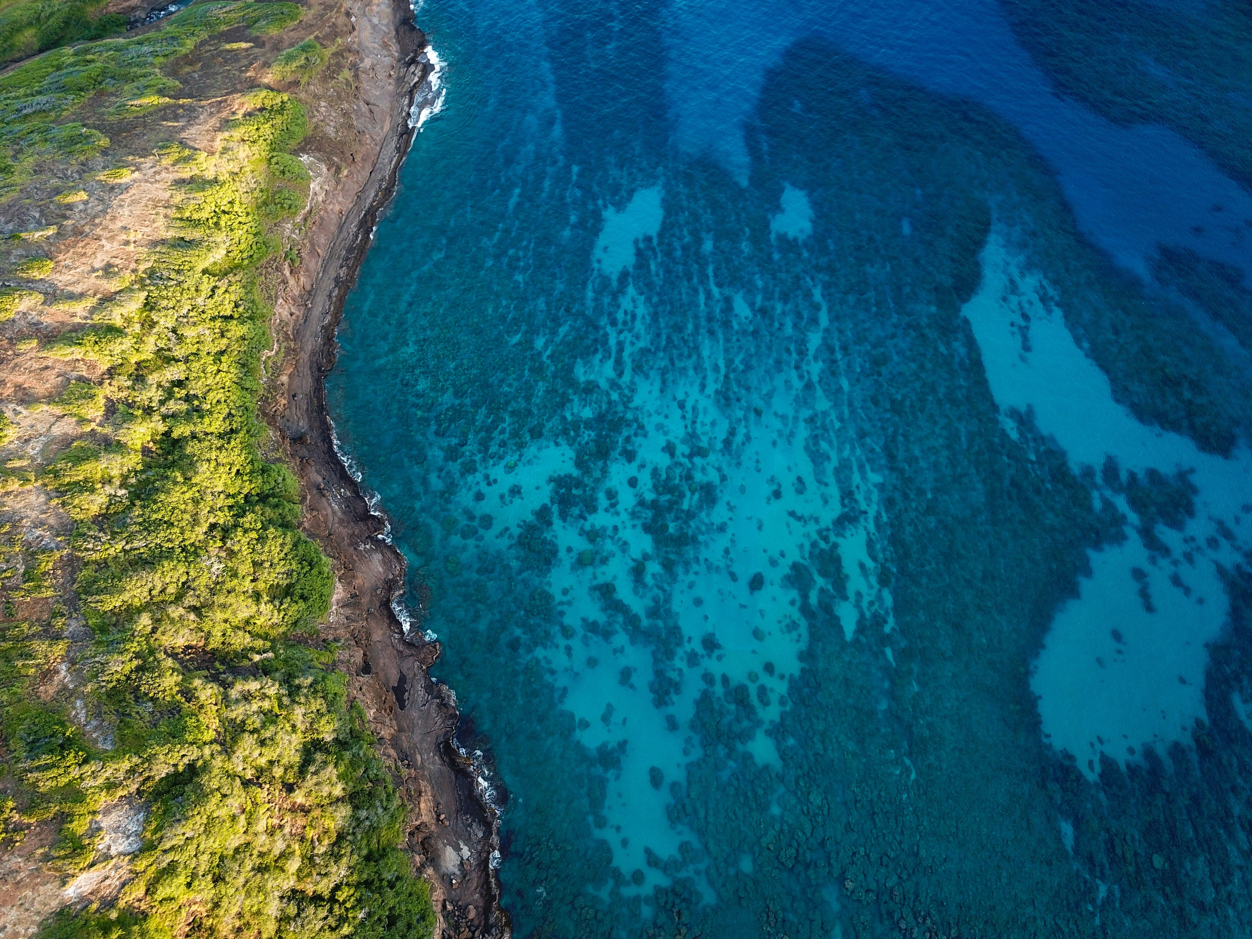 aerial photography of body of water